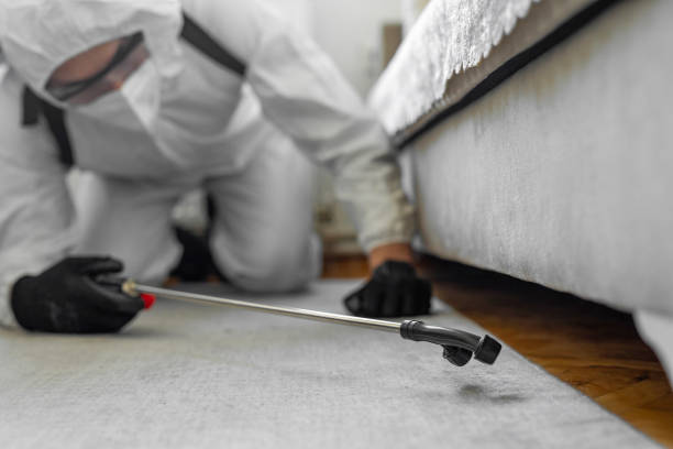Professional Mosquito Control technician working in Rancho San Diego, CA
