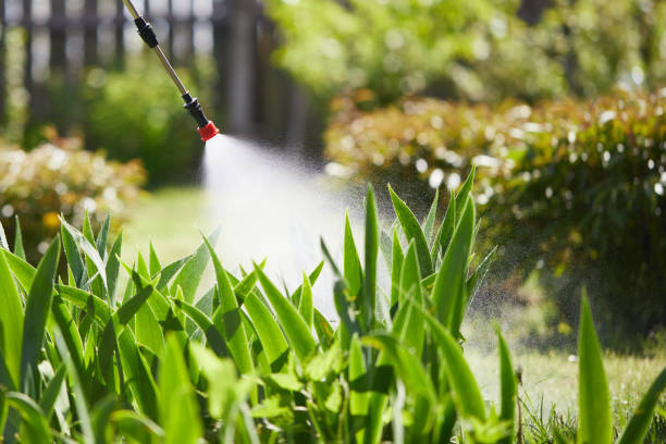 24/7 Emergency Mosquito Control experts in Rancho San Diego, CA