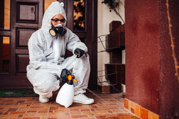 Reliable Mosquito Control contractor in Rancho San Diego, CA by Nex Pest Control